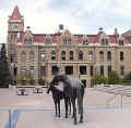 CityHall2