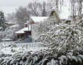 MaySnow